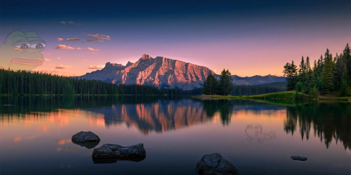 1920x1080 78+ Pepe Meme Wallpapers on WallpaperPlay