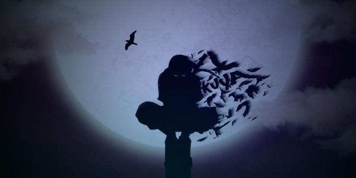 1920x1080 Itachi wallpaper ·① Download free awesome full HD backgrounds for