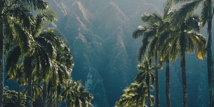 1000x1500 500+ Hawaii Pictures | Download Free Images on Unsplash