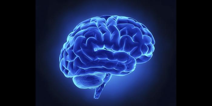 2400x1128 undefined Brain Wallpapers (36 Wallpapers) | Adorable Wallpapers