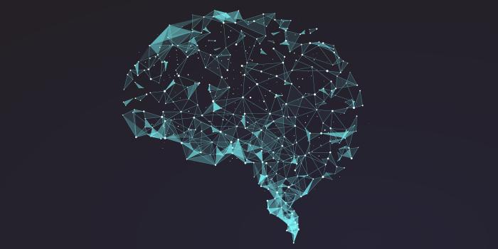 2600x1365 Human Brain Best HD Wallpaper 36888 - Baltana