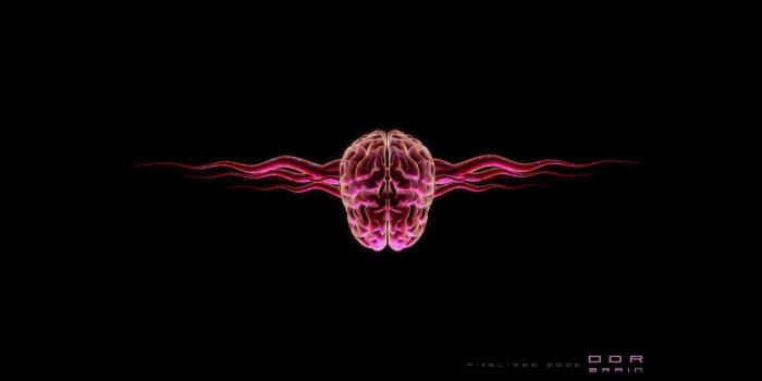 1920x1080 Just use it. Brain Wallpapers for Android - APK Download