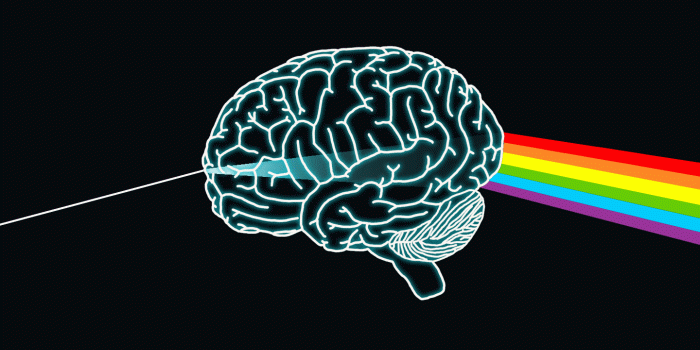 1440x900 39+] Brain Wallpaper HD on WallpaperSafari