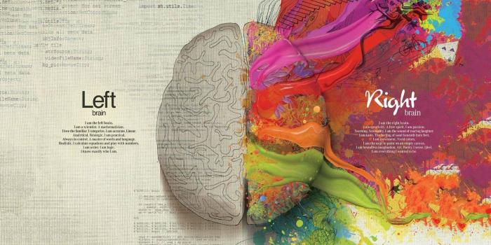 1920x1080 Brain ❤ 4K HD Desktop Wallpaper for 4K Ultra HD TV • Wide & Ultra