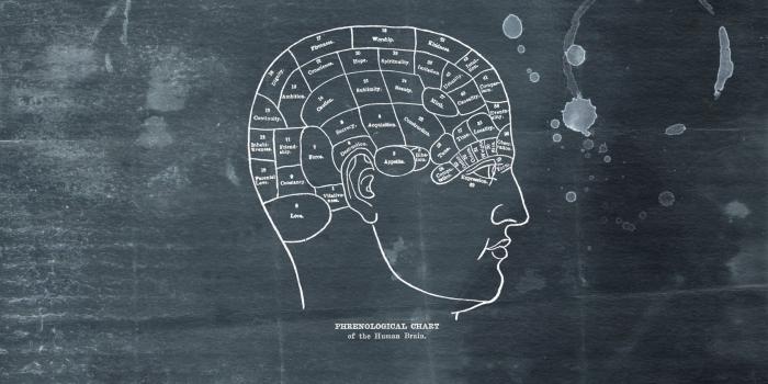 1680x1050 Brain Wallpapers High Quality | Download Free