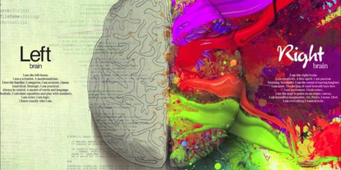 1920x1080 Left Brain Right Brain Wallpapers