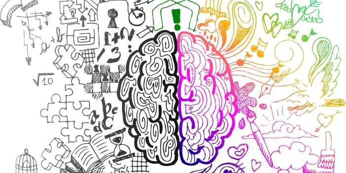 3106x2399 Left Brain Right Brain Wallpapers