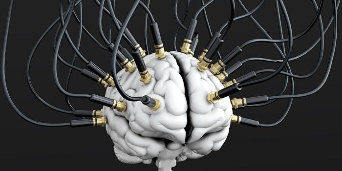 1332x850 Wallpaper wire, cables, brain, brain images for desktop, section