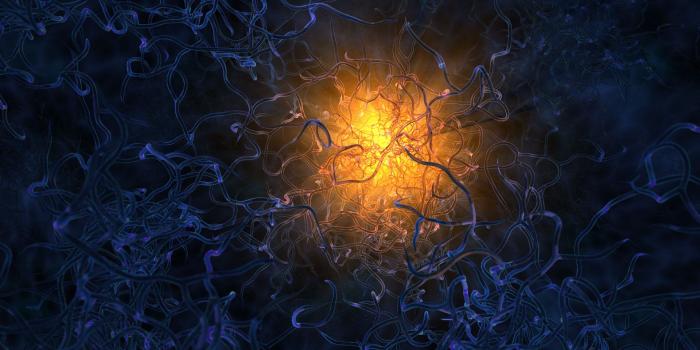 1920x1200 Neuron Wallpapers (52+ images)