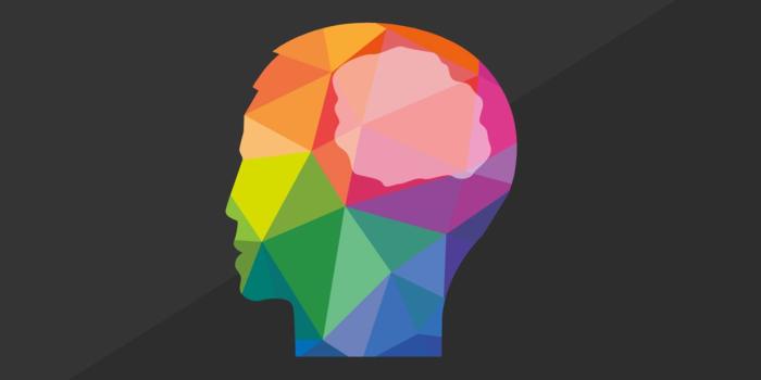 1242x2208 Abstract brain Wallpaper for iPhone X, 8, 7, 6 - Free Download on