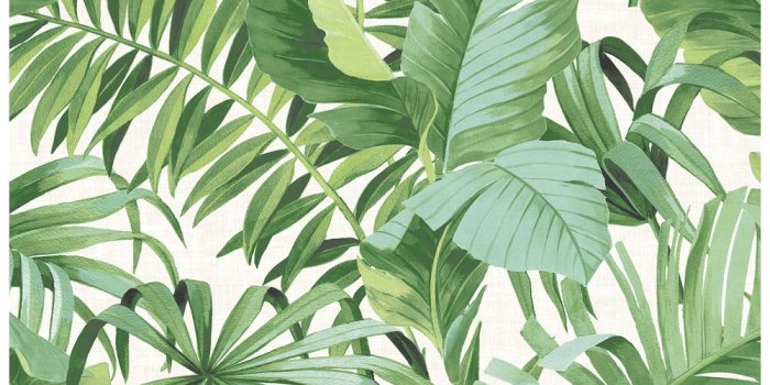 1000x1000 56.4 sq. ft. Alfresco Green Palm Leaf Wallpaper