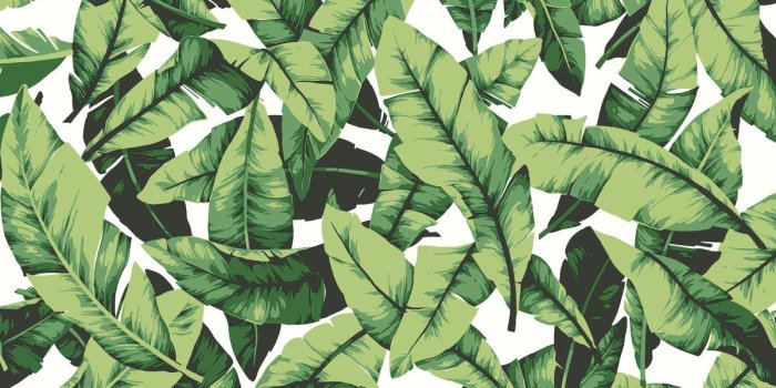 1200x1200 RoomMates Tropical Palm Leaf Peel and Stick Wallpaper