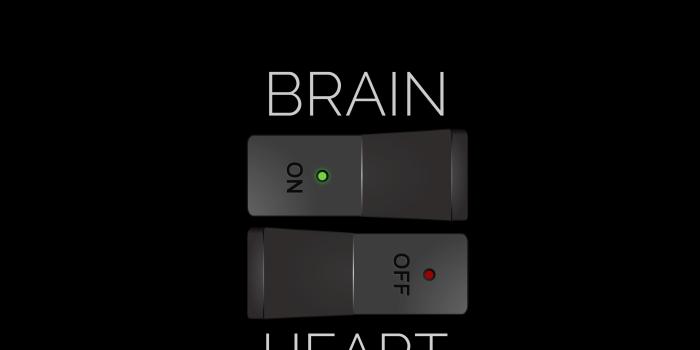 5011x4989 Download wallpaper 5011x4989 off, on, brain, heart, inscription hd