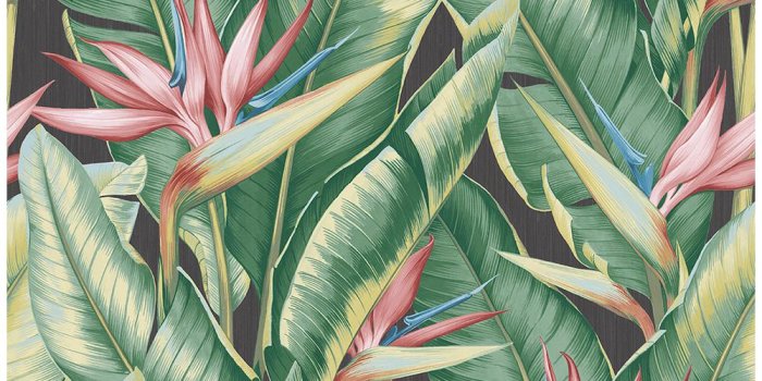 1000x1000 Arcadia Pink Banana Leaf Wallpaper