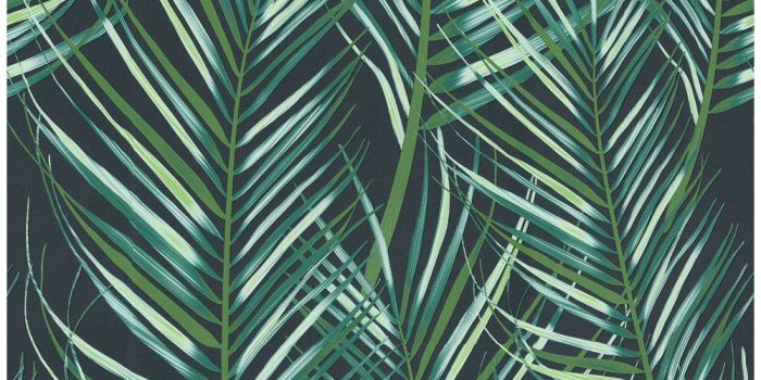 1000x1000 Superfresco Easy Wallpaper Palm Leaves Green