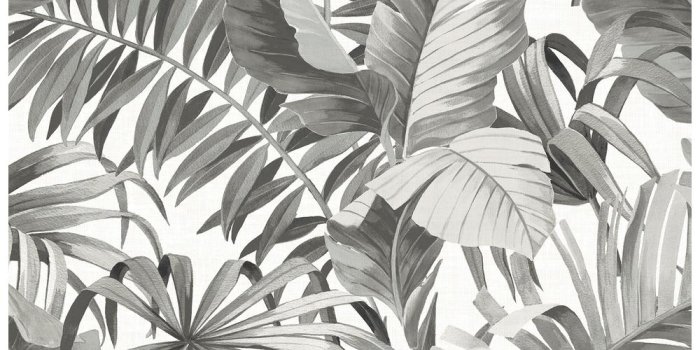 1000x1000 56.4 sq. ft. Alfresco Black Palm Leaf Wallpaper