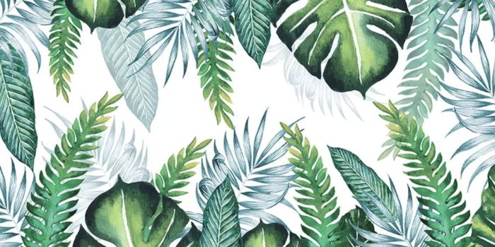 1134x708 Amazon.com: Murwall Leaf Wallpaper Tropical Leaves Wall Murals
