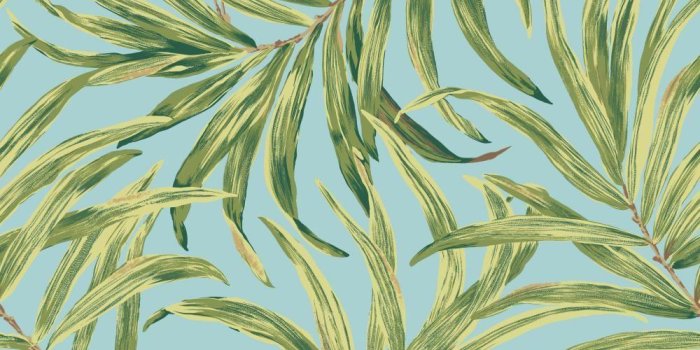 1000x1000 Tropics Bali Leaves Wallpaper