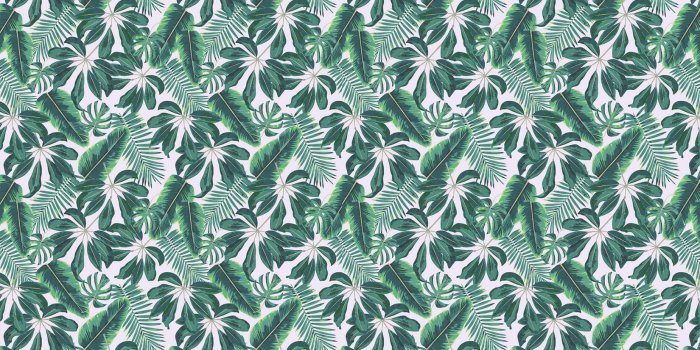 1650x1070 Mixed Tropical Leaves Wallpaper | Cool Tropical Leaf | MuralsWallpaper