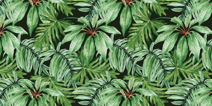 1000x1000 Anewall Banana Leaf Modern Classic Tropical Wallpaper