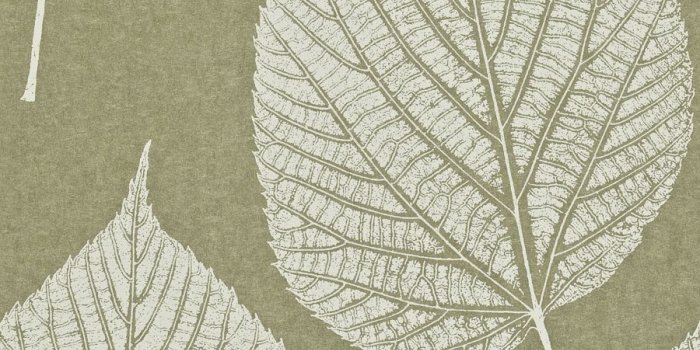 900x1000 Leaf