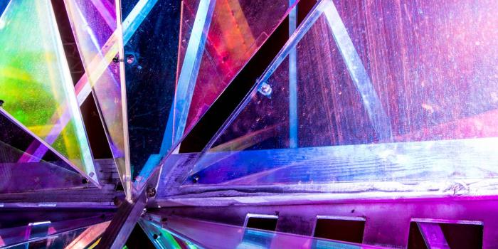 1423x2133 Electric Forest Wallpapers | Electric Forest