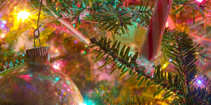 3648x2736 Christmas Desktop Wallpaper | Pictures of Arlington