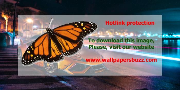 1920x1200 Lamborghini Huracan LP 610 4 HD Wallpaper