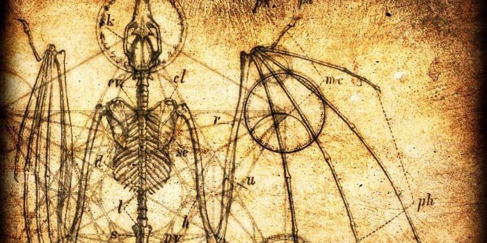 1440x900 10 Pieces Of Steampunk Room Decor That Everyone Wants | Steampunk