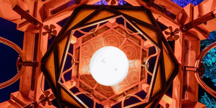 1423x2133 Electric Forest Wallpapers | Electric Forest