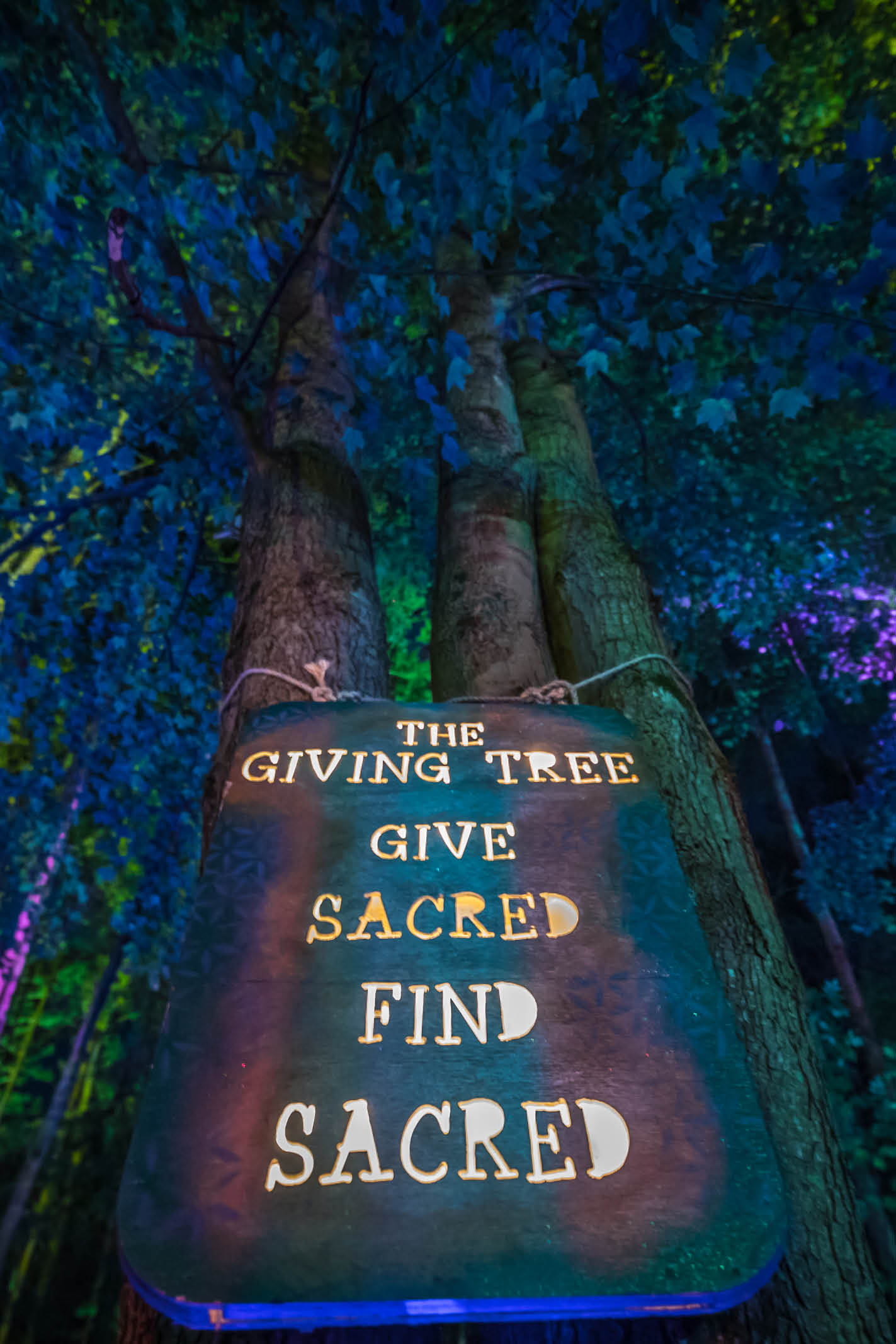 1423x2133 Electric Forest Wallpapers | Electric Forest