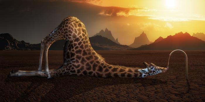 2000x1125 Weird Wallpapers Free Download