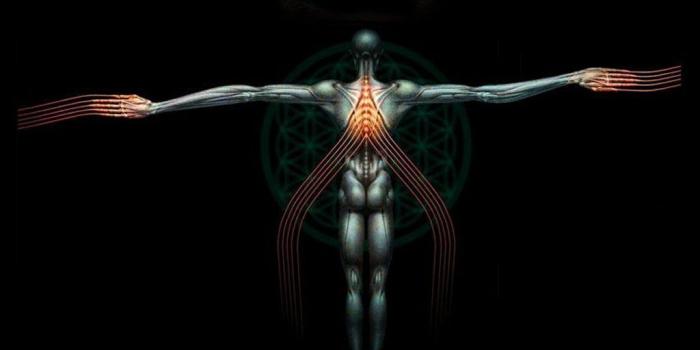 1024x768 Tool Band Wallpaper Downloads | Wallpaper tools in 2019 | Wallpaper