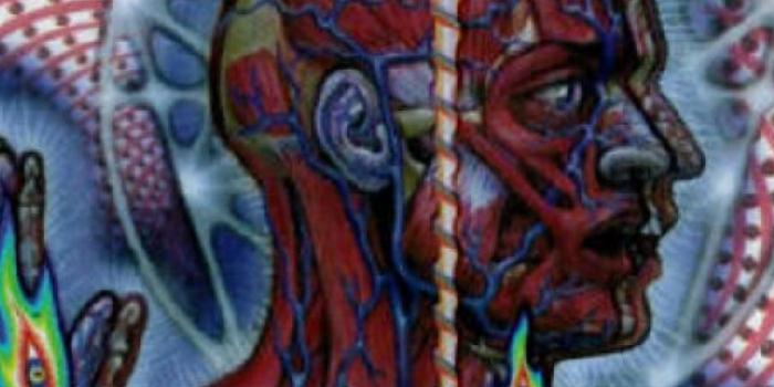 1242x2208 Tool Wallpaper - (68+) Wallpaper Collections