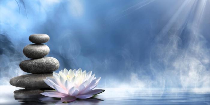 1920x1080 Zen Lotus Wallpapers - Top Free Zen Lotus Backgrounds - WallpaperAccess