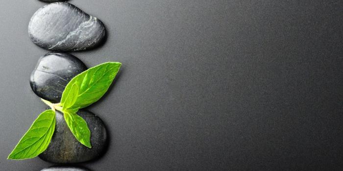 1920x1200 Zen Desktop Wallpapers - Top Free Zen Desktop Backgrounds