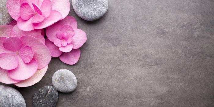 1332x850 Wallpaper flowers, stones, pink, pink, flowers, stones, spa, zen