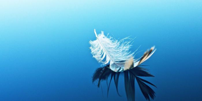 1920x1200 Zen wallpaper ·① Download free backgrounds for desktop, mobile