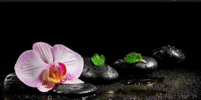 1280x720 Zen Wallpaper for Android - APK Download