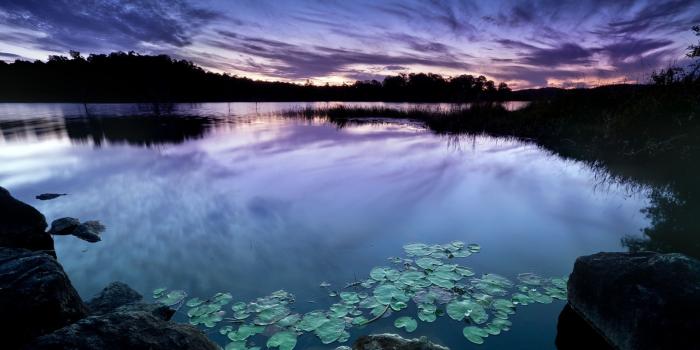 1920x1080 Fantastic Zen wallpaper | 1920x1080 | #30043