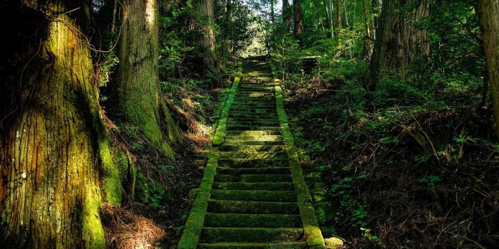 1920x1080 Zen Wallpaper (65+), Download 4K Wallpapers For Free