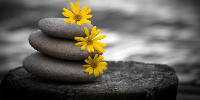 1920x1080 Zen Desktop Wallpaper (30+ images) on Genchi.info