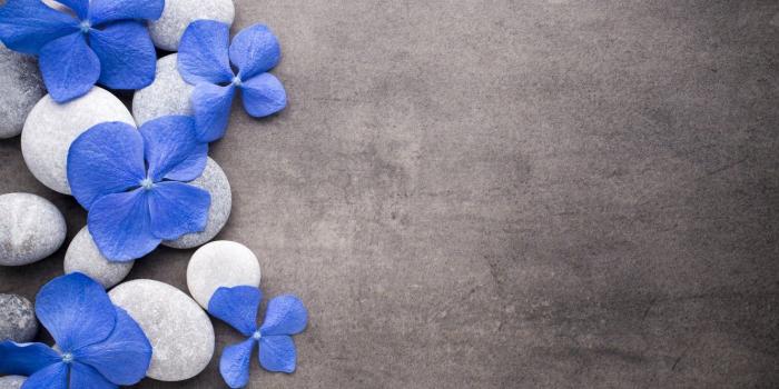 1332x850 Wallpaper flowers, stones, blue, flowers, stones, spa, zen images