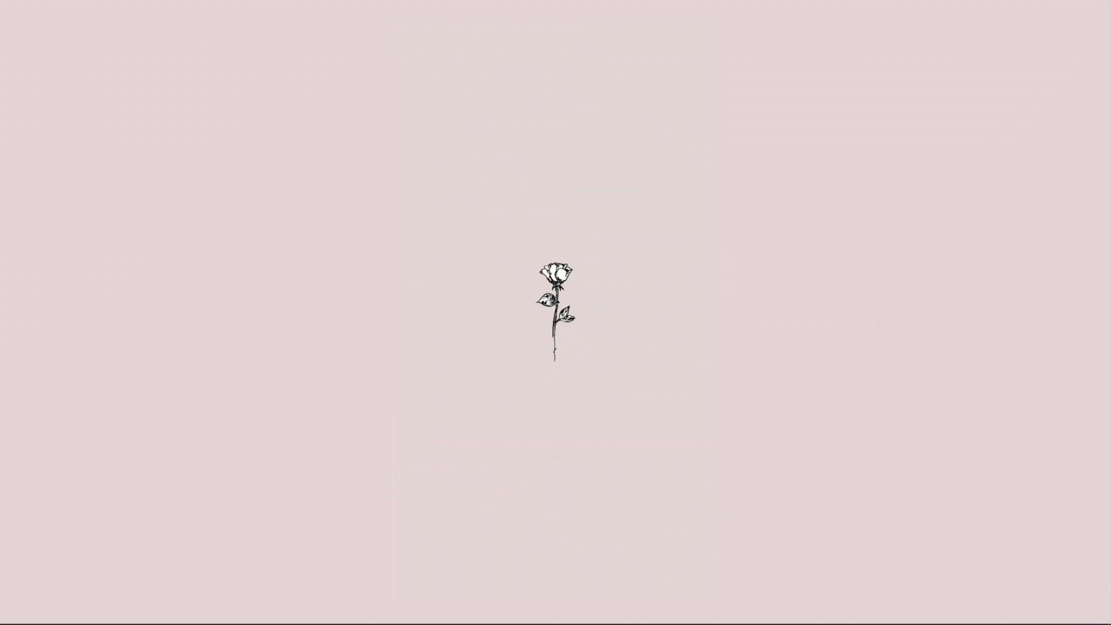 1920x1080 ROSE\ Basic background 3:2 wallpaper | lockscreen | comput… | Desktop  wallpaper simple, Computer wallpaper desktop wallpapers, Laptop wallpaper  desktop wallpapers