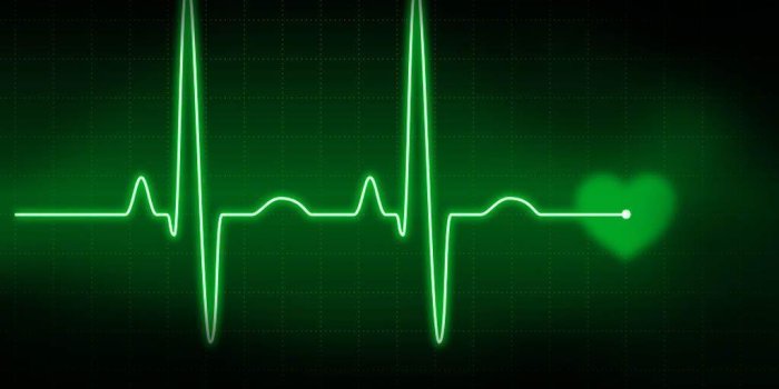 1024x768 Nurse Wallpapers