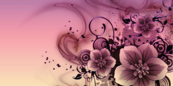 2560x1600 Basic, Flower, Abstract Wallpaper, Background For Smart Phones, Free