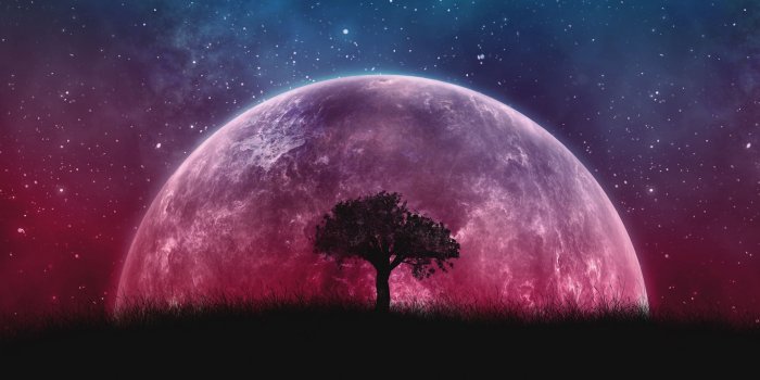 2560x1080 Download wallpaper 2560x1080 tree, planet, stars, galaxy, art dual