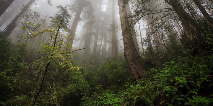 2560x1080 2560 X 1080 Wallpapers (89+ background pictures)