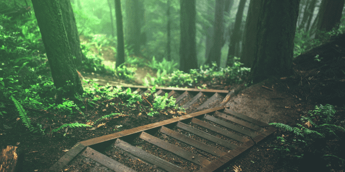 2560x1080 2560x1080 nature wallpaper Gallery