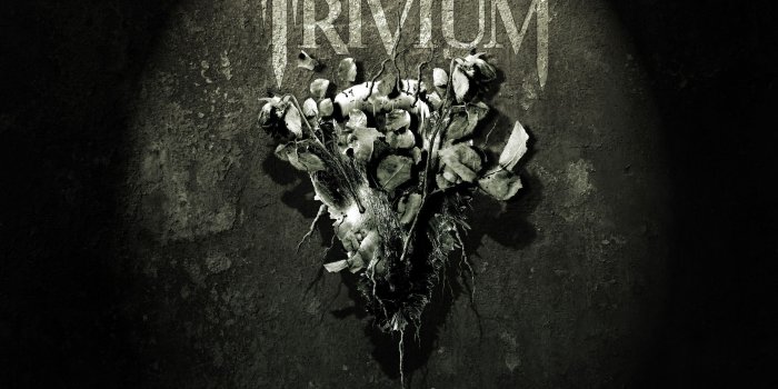 2560x1600 Trivium Black (#1525986) - HD Wallpaper Download